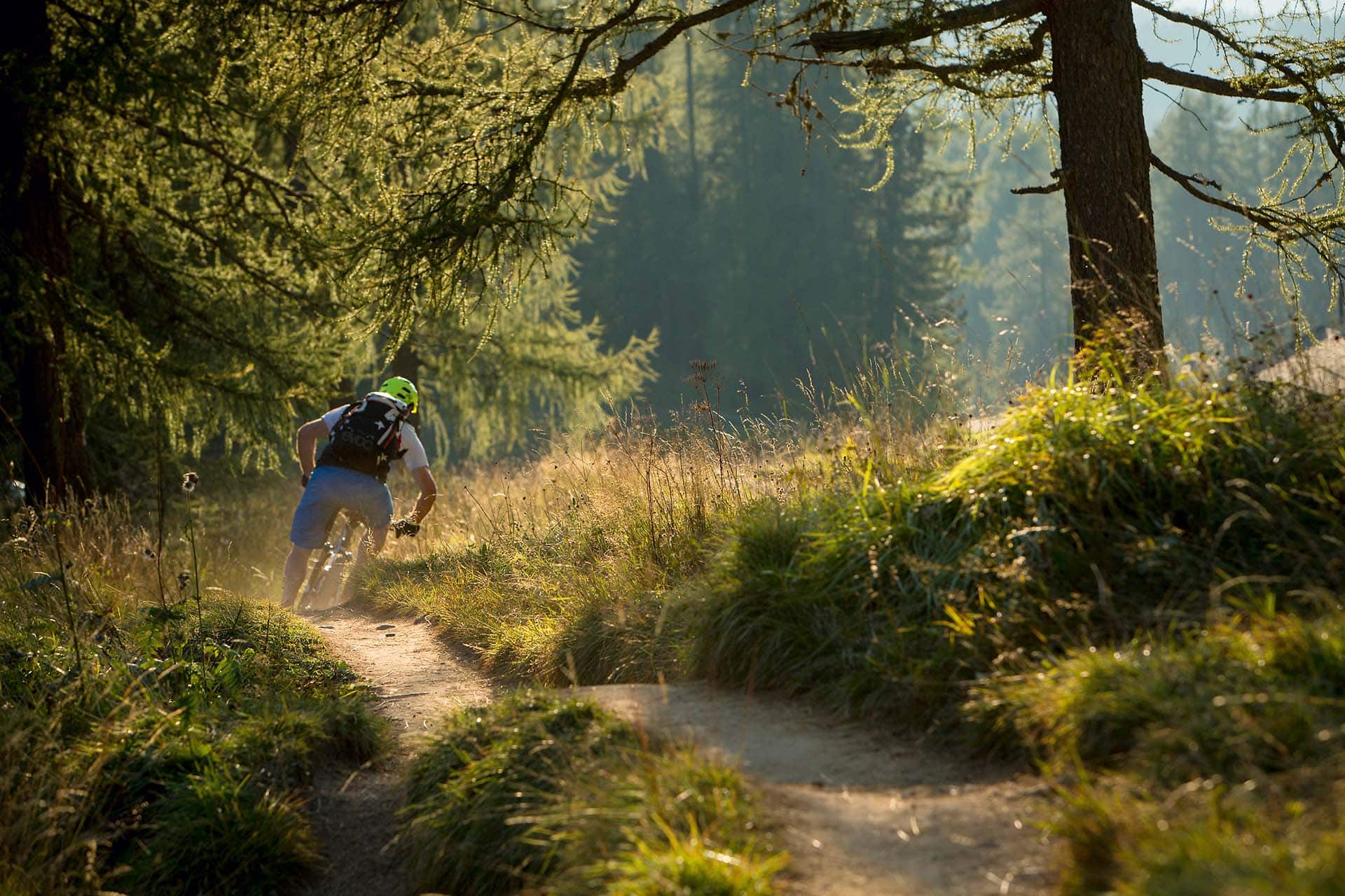 Mountainbike Waldwege, die Fahrgeschick verlangen.