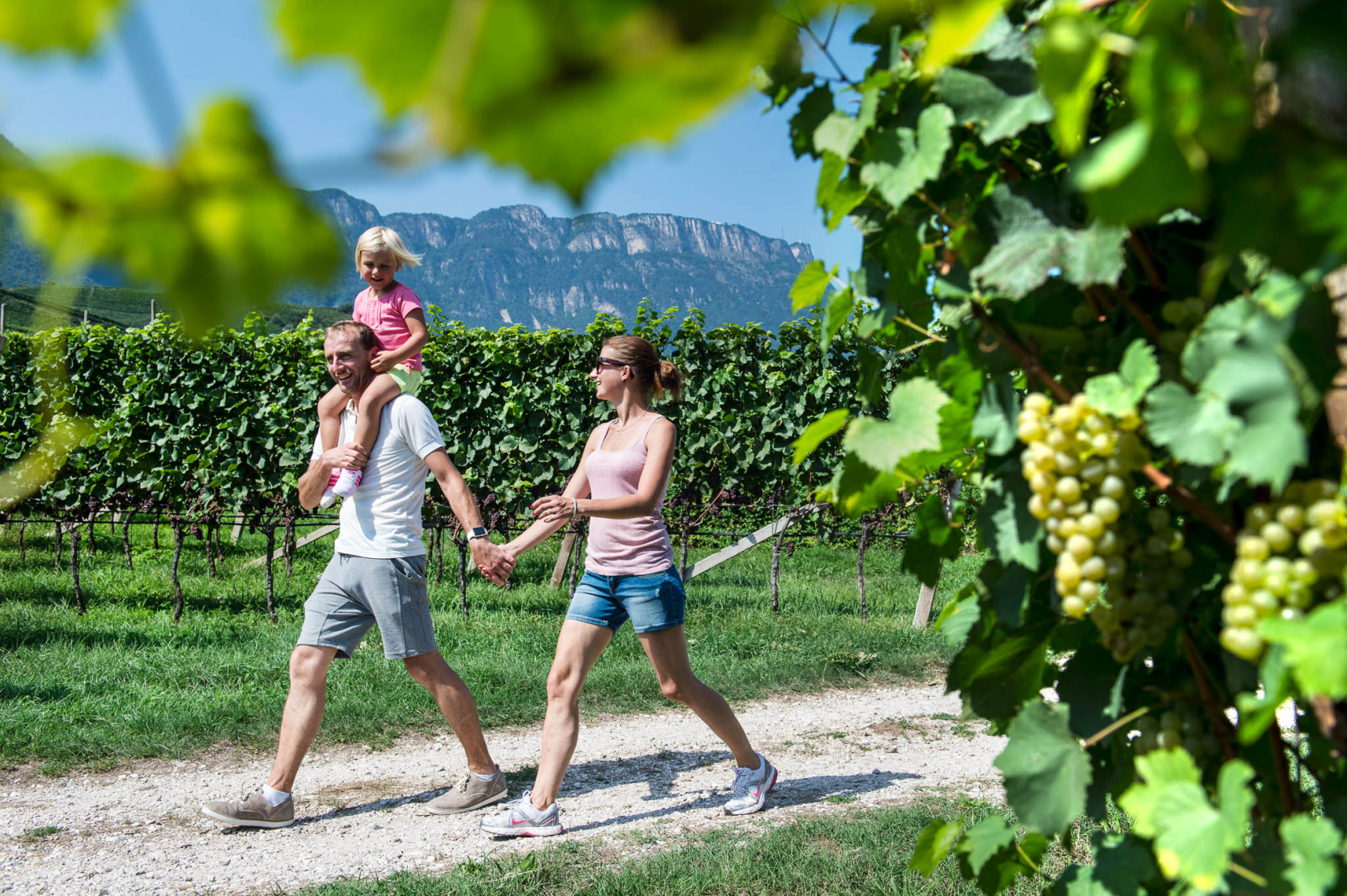 Familienspaziergang durch die Weinberge