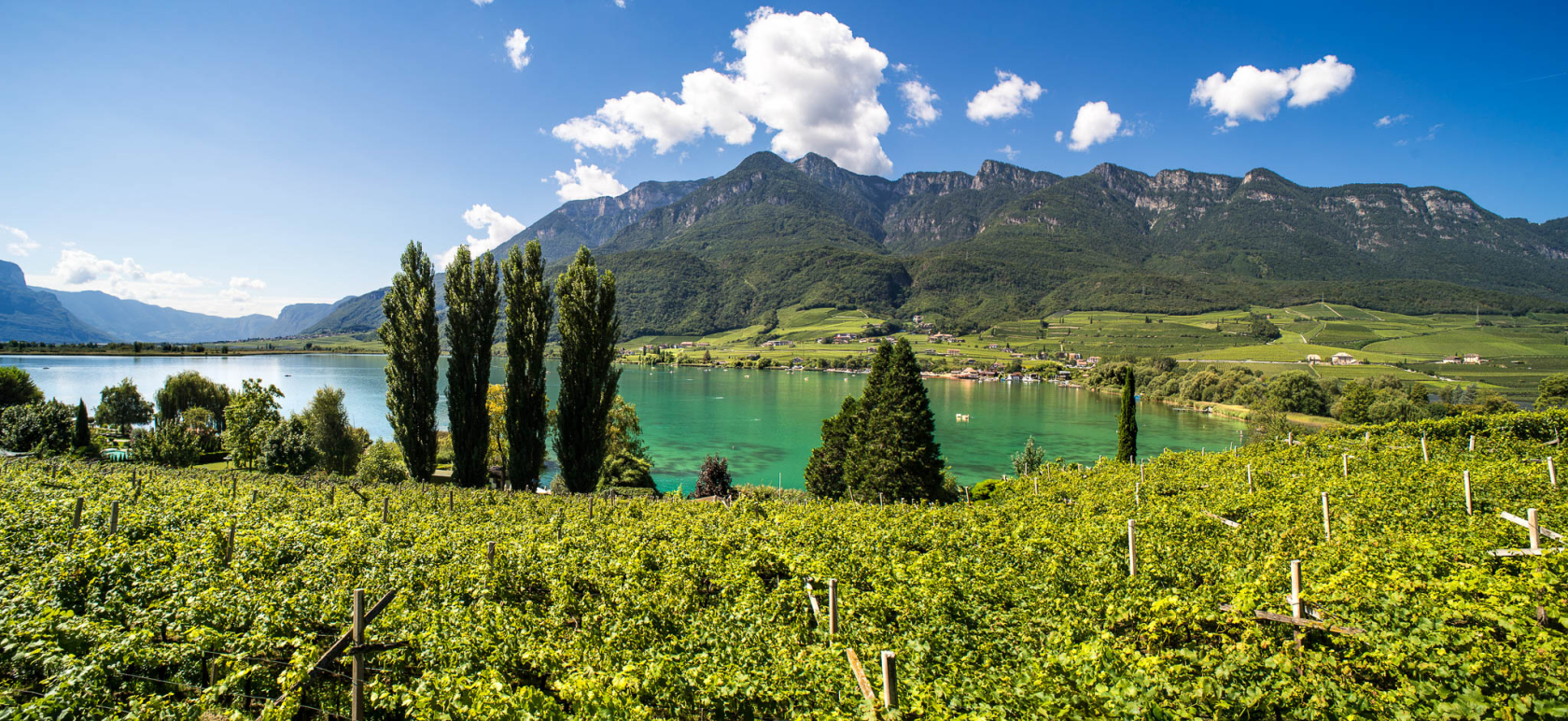 Der Kalterersee in seiner Pracht